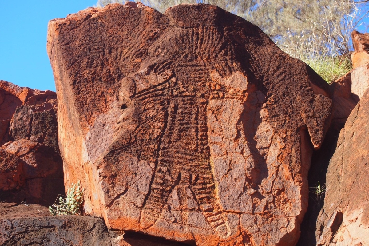 petroglif (Kaya resimleri // Burrup ( Murujuga ) Adası, Avustralya
