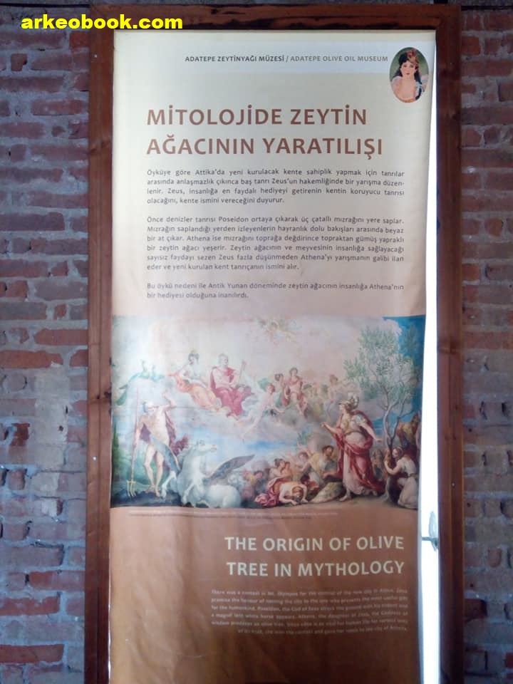 Adatepe Zeytinyağı Müzesi / Küçükkuyu / Çanakkale