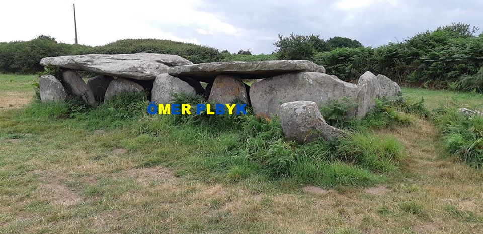 Oyuk sembolü ve dolmen mezarı ; Île-Grande , Fransa