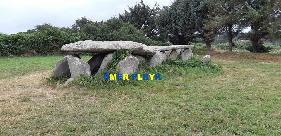 Oyuk sembolü ve dolmen mezarı ; Île-Grande , Fransa