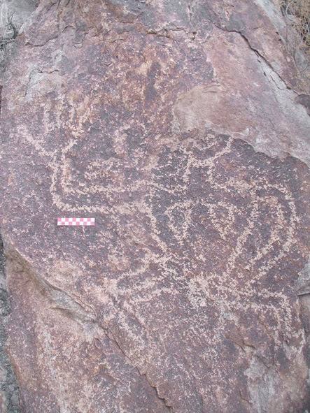 Petroglifler resimleri ; Ladakh bölgesi , Hindistan