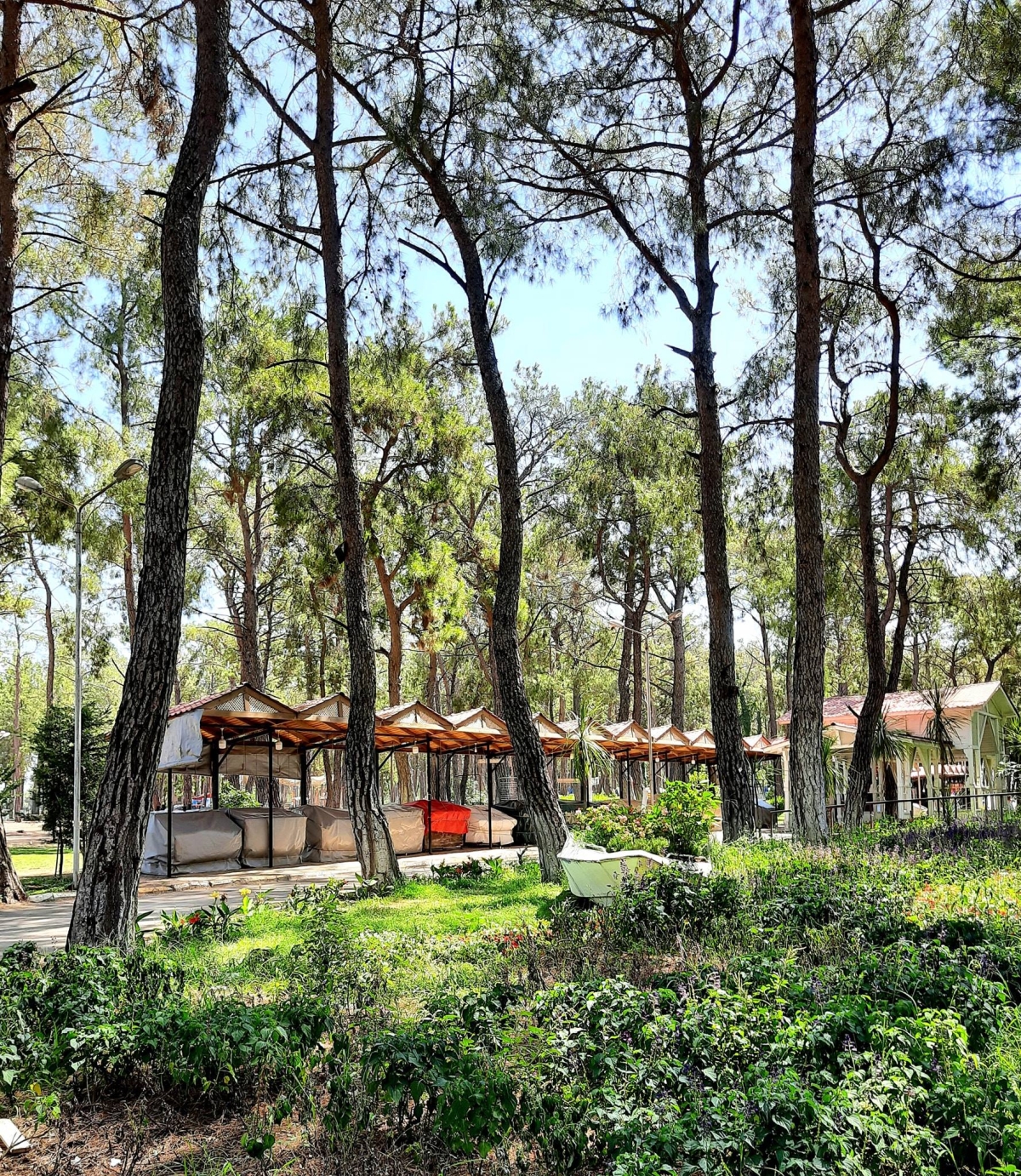 Kepez Kent Ormanı ; Antalya 
