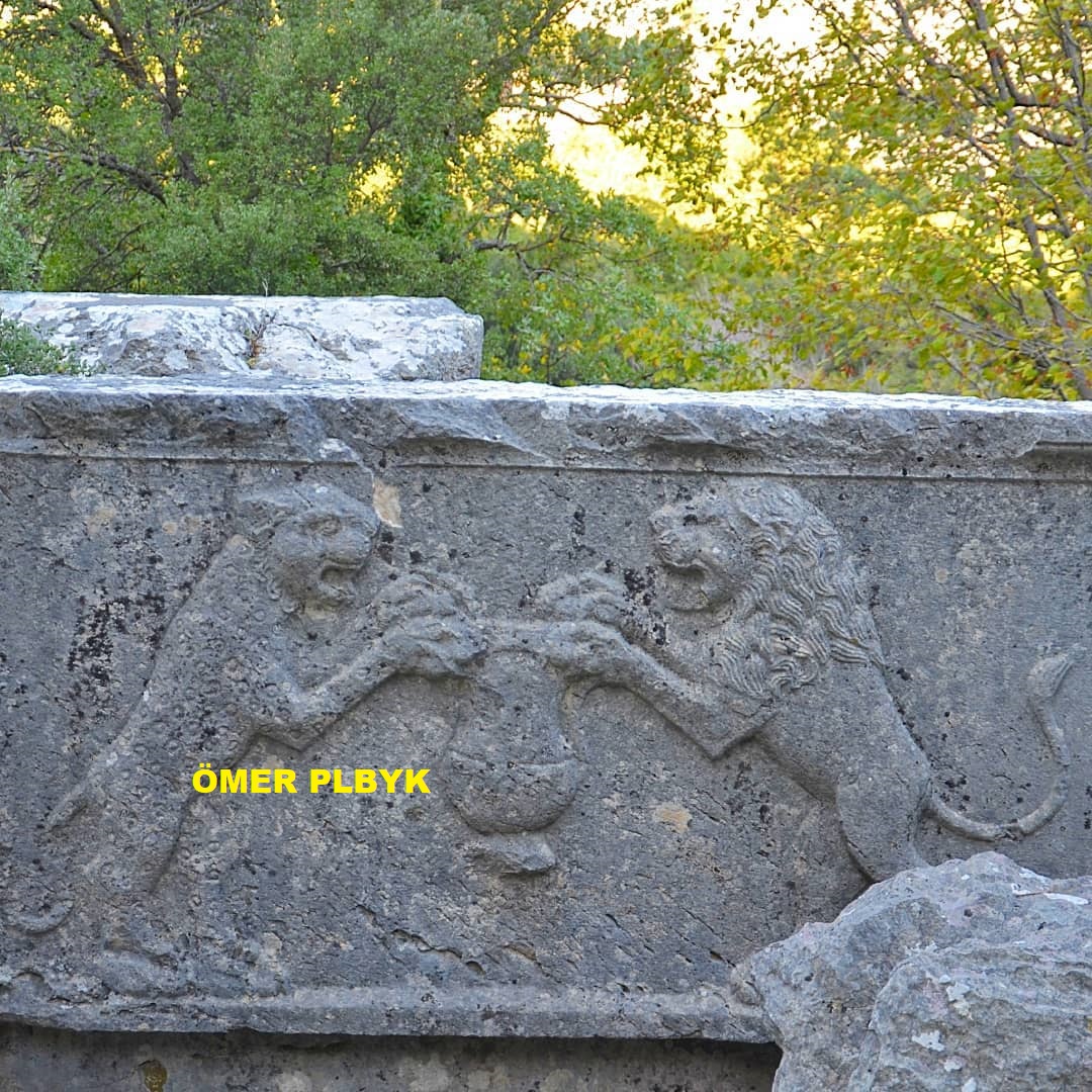 Termessos'un askerî mezarlığındaki lahitler