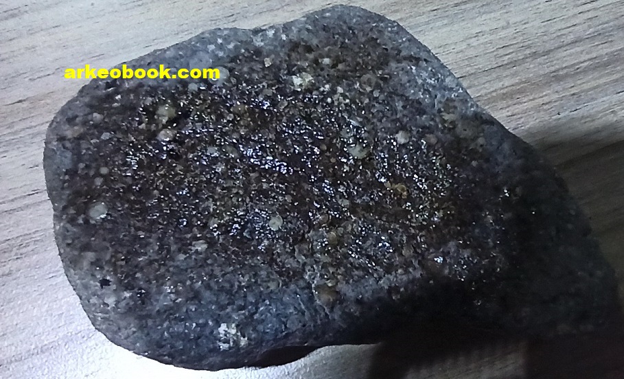 Fosilli taş ; Sakarya