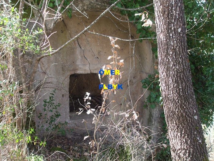 Güvercin & Üzüm fiğürlü açılmış kaya mezarı