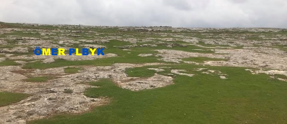Cinaz kaya mezarı ; Viranşehir , Şanlıurfa