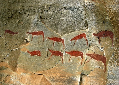 San (Bushman) Kaya resimleri 