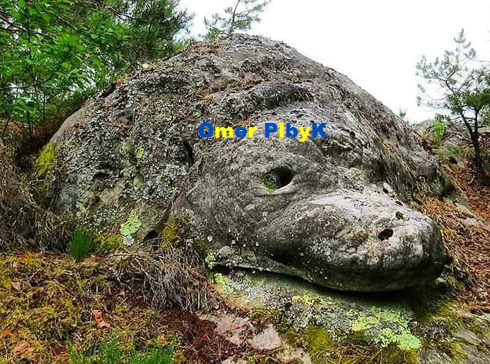 Fontainebleau Ormanında görünen hayvan fiğürlerine benzeyen kayalar