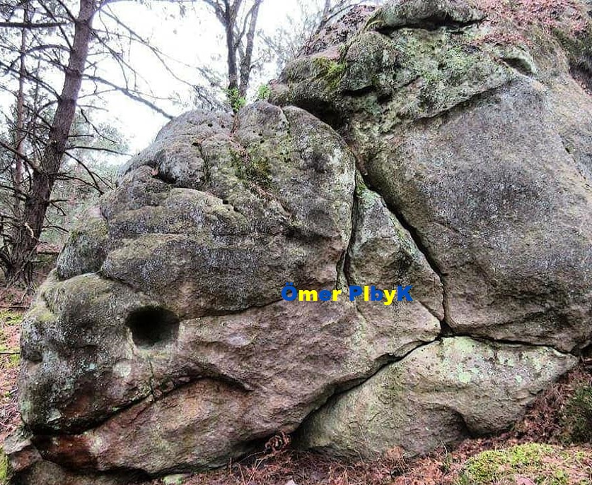Fontainebleau Ormanında görünen hayvan fiğürlerine benzeyen kayalar