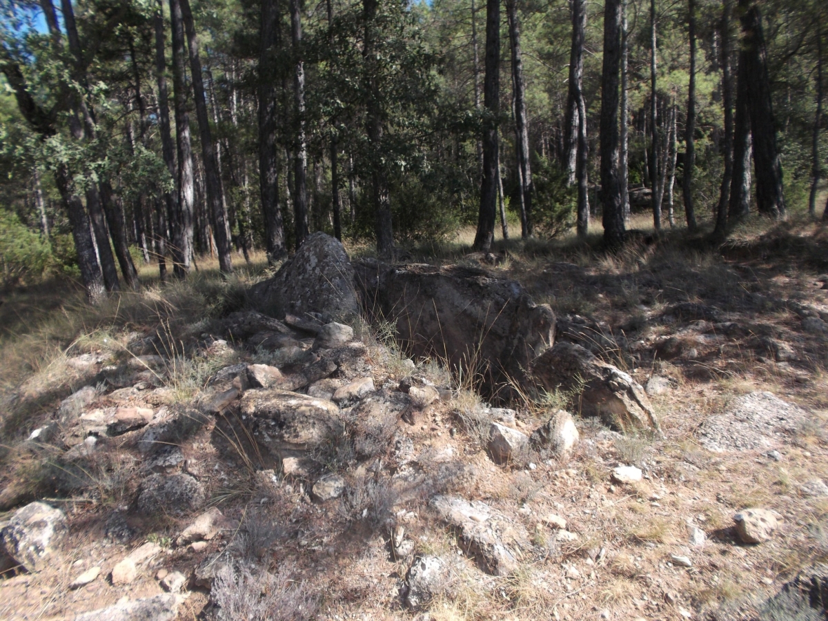 Taş (dolmen) mezar örneği