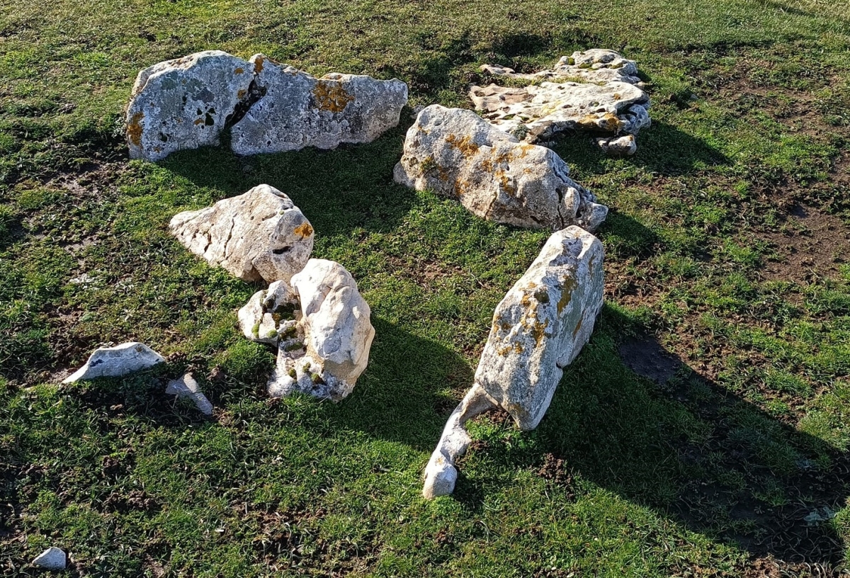 Dikili taş ve megalit mezarı görseli