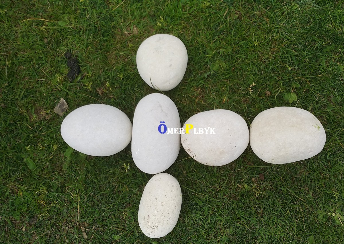 Yumurta şekilde görülen taşlar , Kocaeli 
