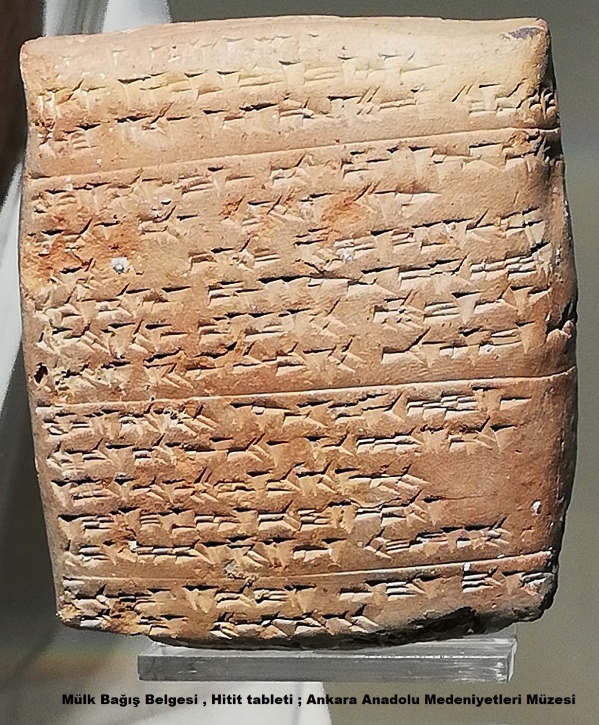 Mülk Bağış Belgesi , Hitit tableti ; Ankara Anadolu Medeniyetleri Müzesi 