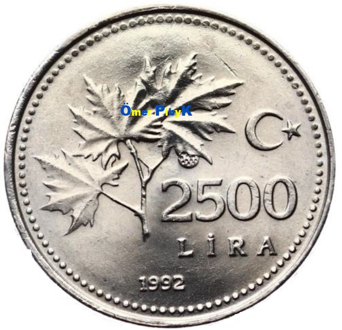 2500 (İkibinbeşyüz) Lira 1992 Türkiye Cumhuriyeti madeni parası