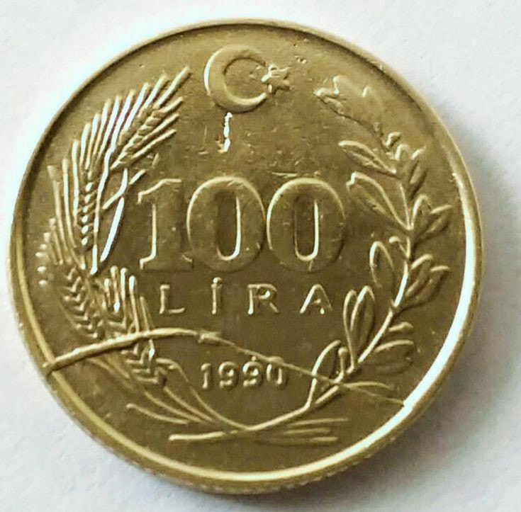 100 Lira 1990 Türkiye Cumhuriyeti madeni parası 