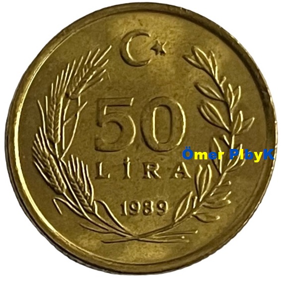 50 Lira (Elli) 1989 Türkiye Cumhuriyeti madeni parası