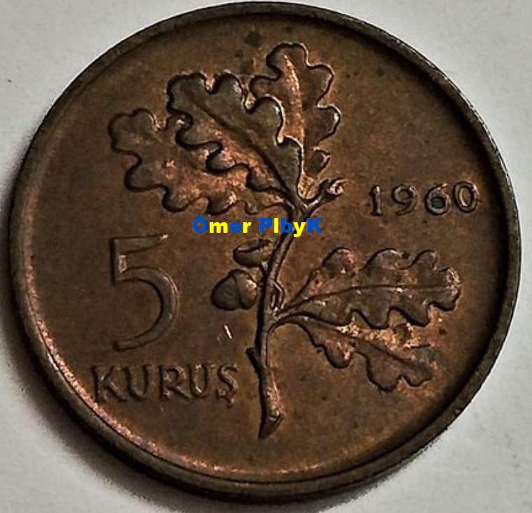 5 (Beş) Kuruş 1960 Türkiye Cumhuriyeti madeni parası 